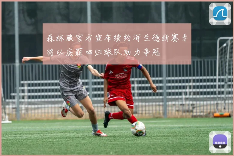 森林狼官方宣布续约海兰德新赛季将以底薪回归球队助力争冠