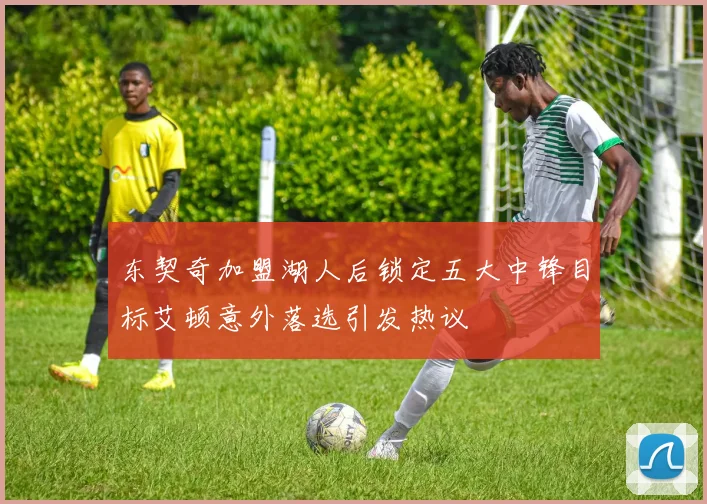 东契奇加盟湖人后锁定五大中锋目标艾顿意外落选引发热议