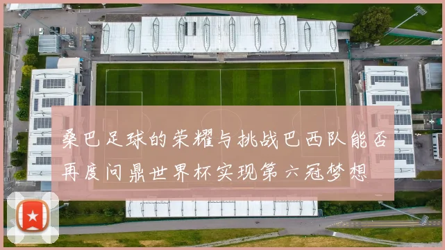 桑巴足球的荣耀与挑战巴西队能否再度问鼎世界杯实现第六冠梦想