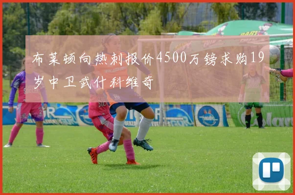 布莱顿向热刺报价4500万镑求购19岁中卫武什科维奇